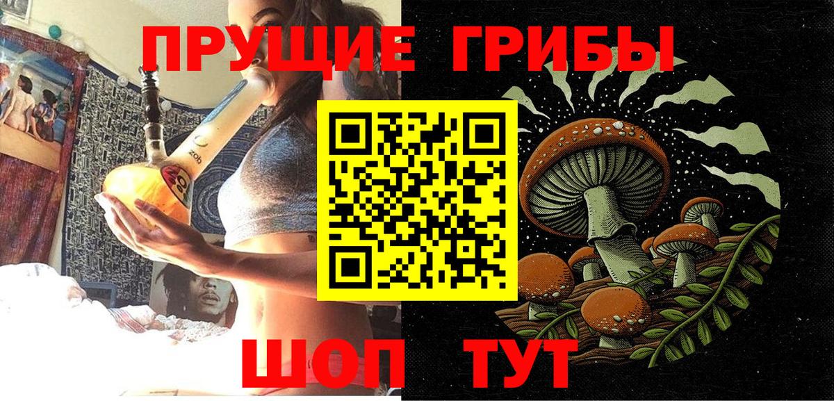 Псилоцибиновые грибы ЛСД Боровичи