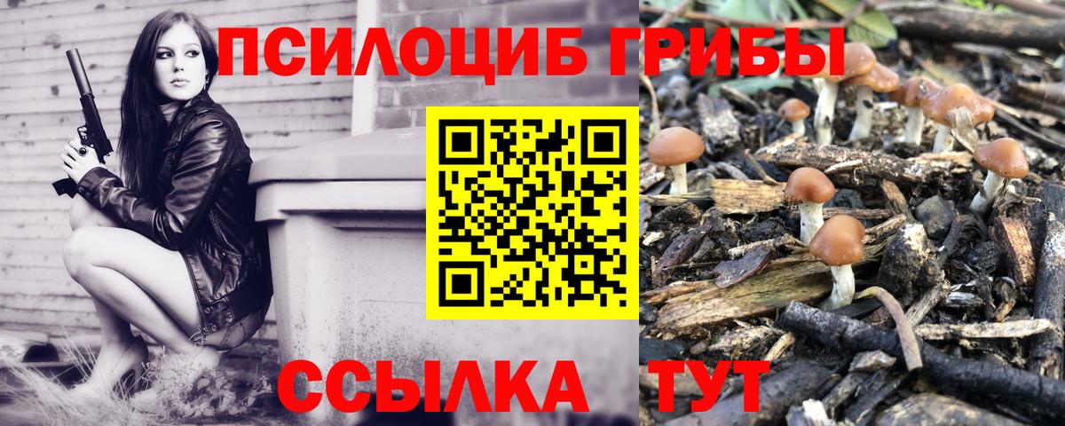что такое наркотик  Псилоцибиновые грибы Cubensis  Галлюциногенные грибы Magic Shrooms  Вход с VPN  Боровичи 